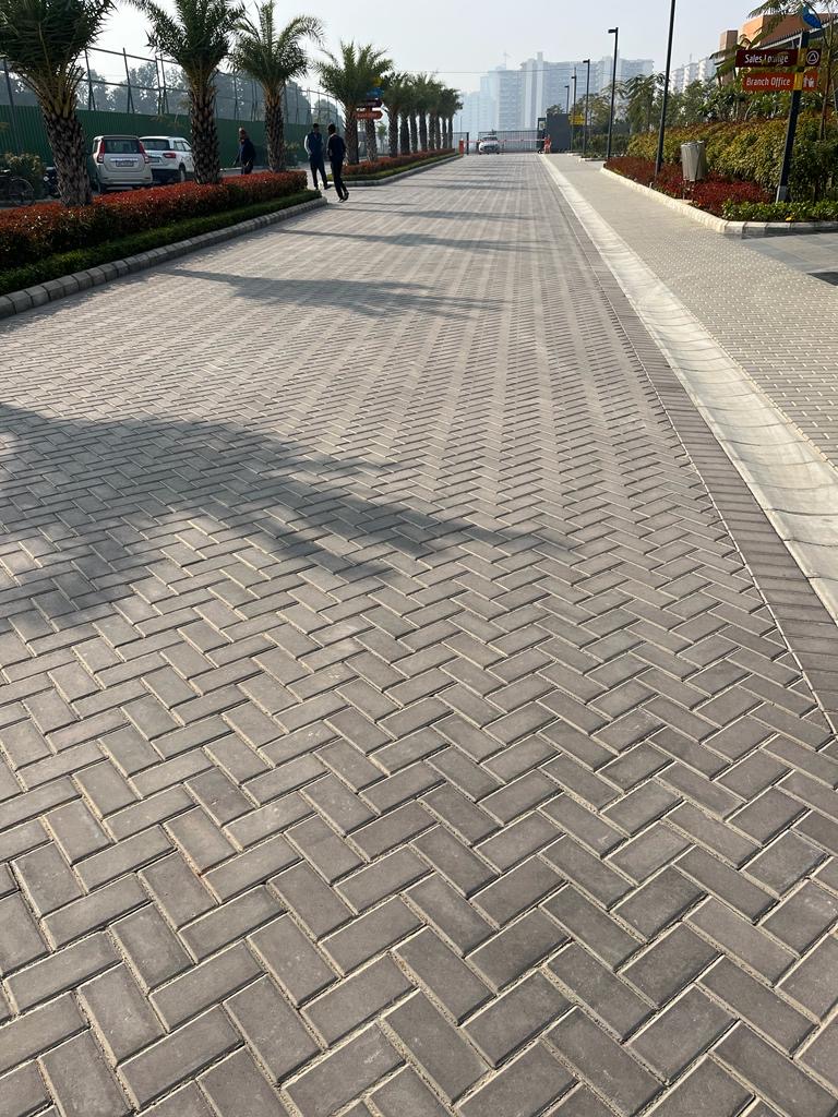 Palm-Shadowed Driveway